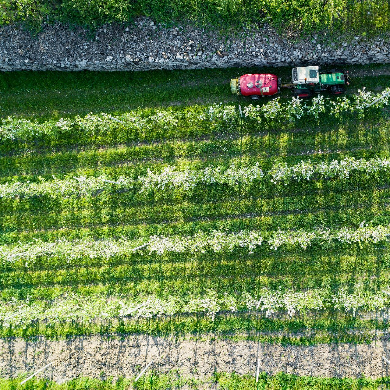 Inicio agromer