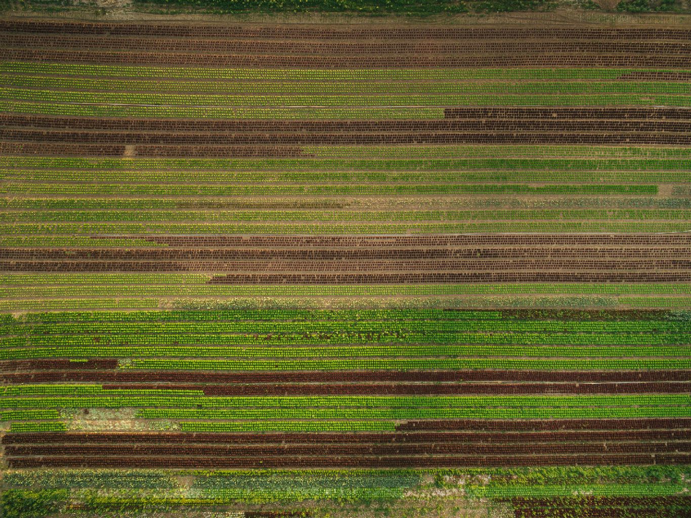 Inicio agromer